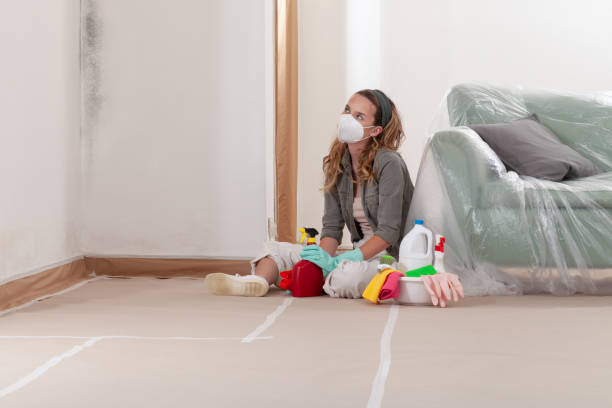 Reliable Mold Removal contractor in Bellmawr, NJ by 24 Hour Mold Removal